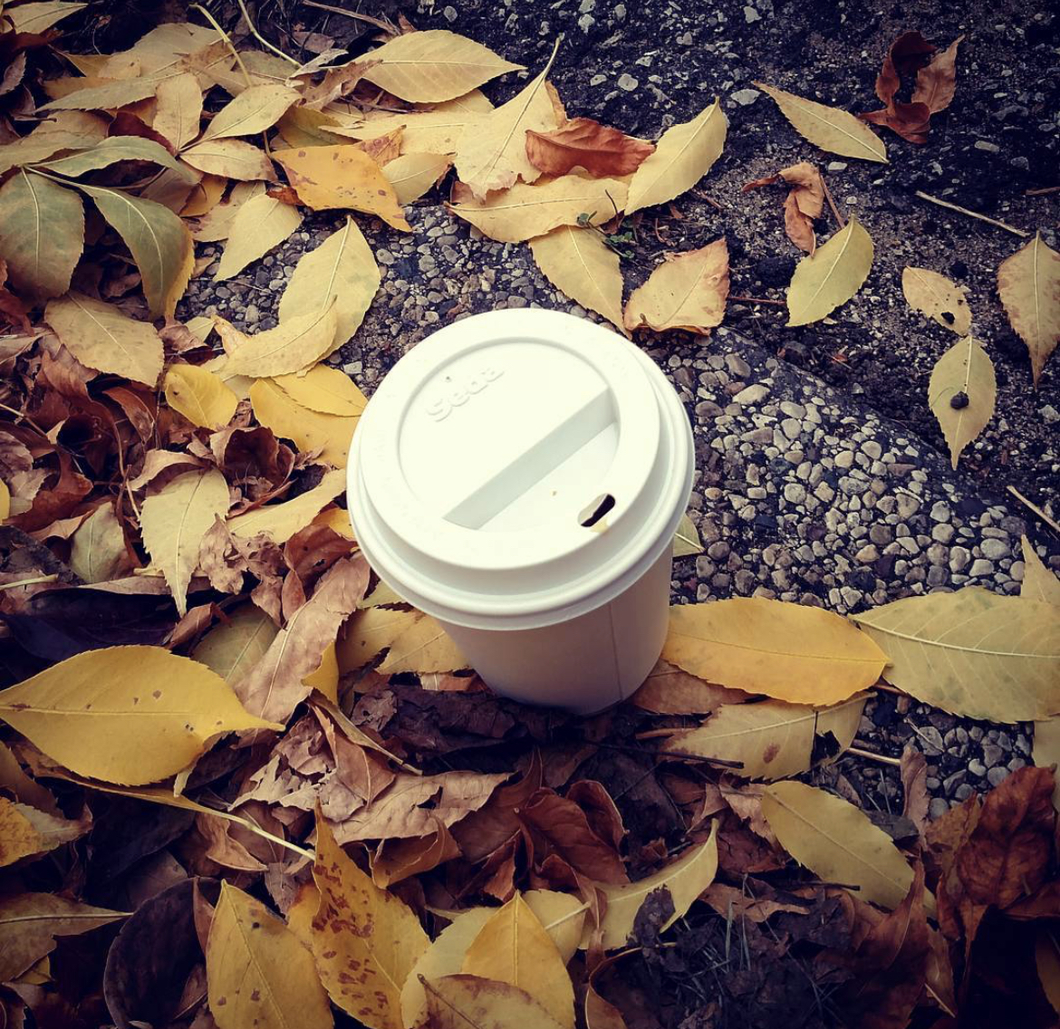 Cup of coffee in leaves